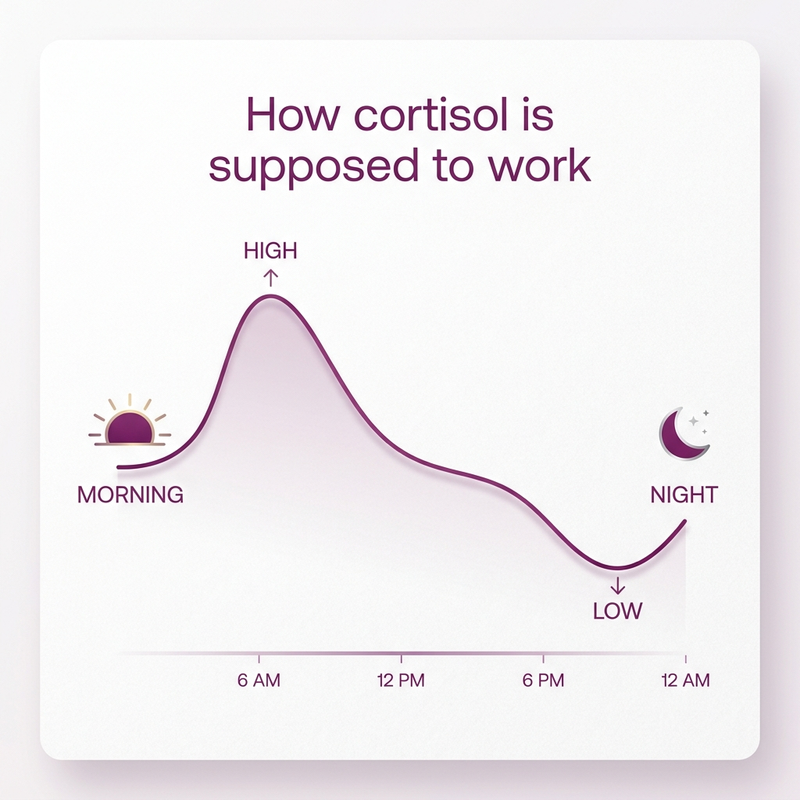 What Causes High Cortisol In Women Over 60