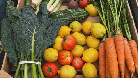 A farmers market stall stacked with fresh vegetables and leafy greens