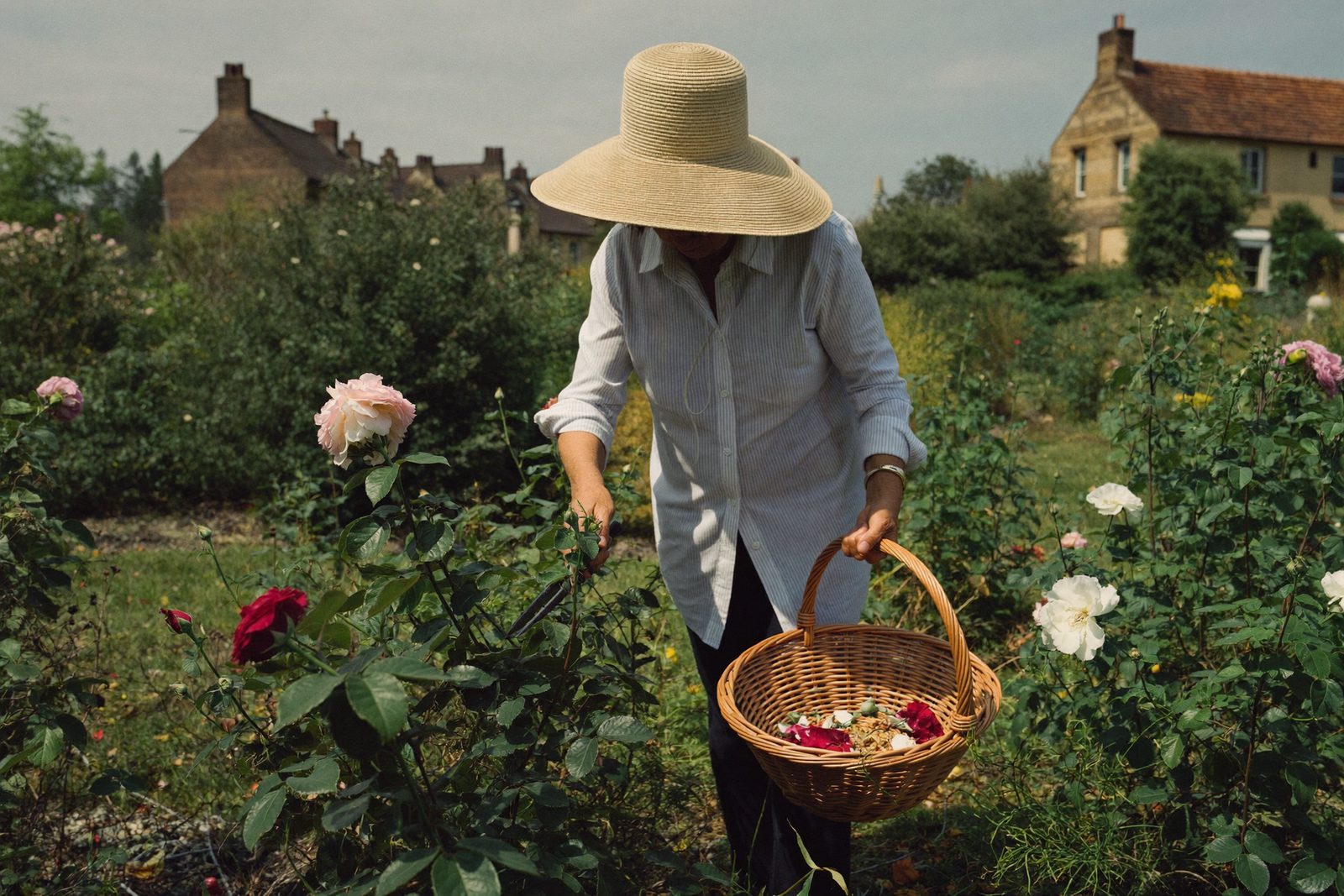 An older woman in a hat tending her garden