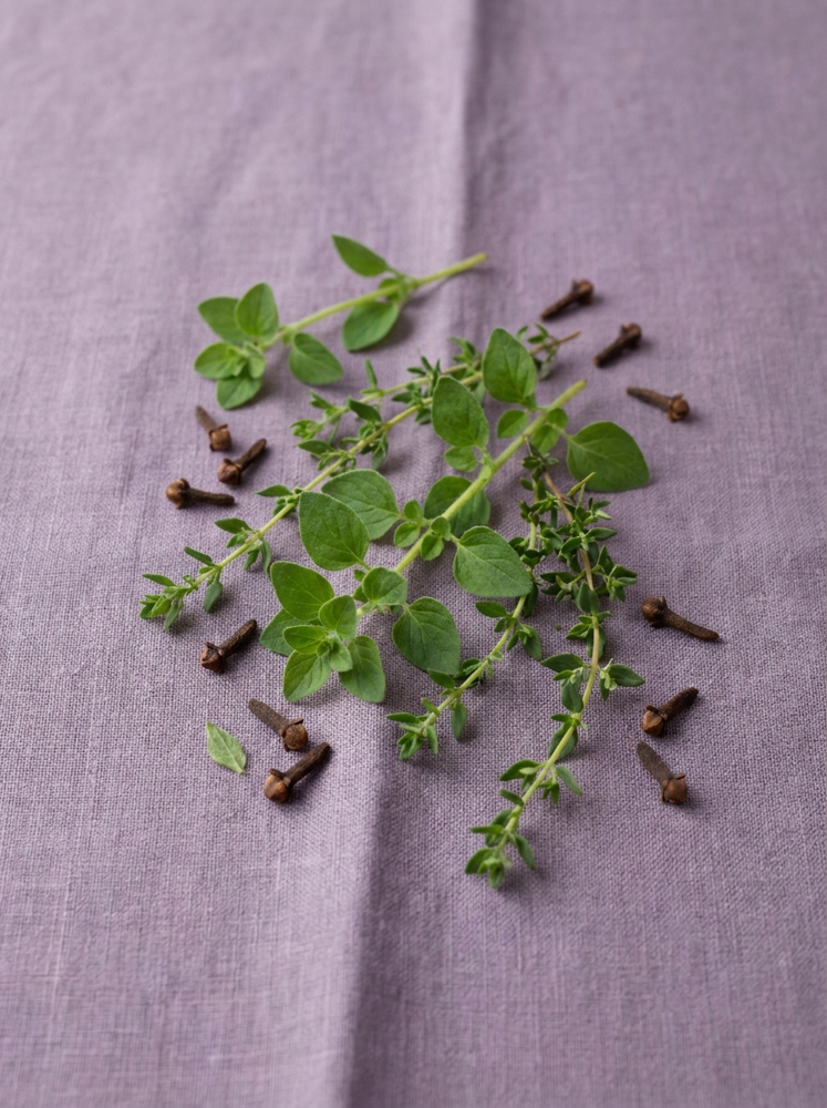 Oregano, thyme and clove
