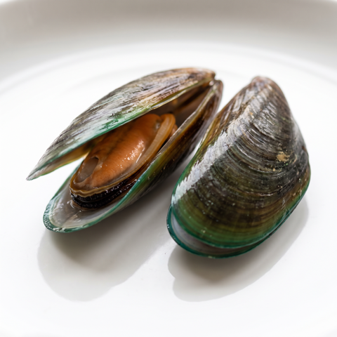 Green Lipped Mussel