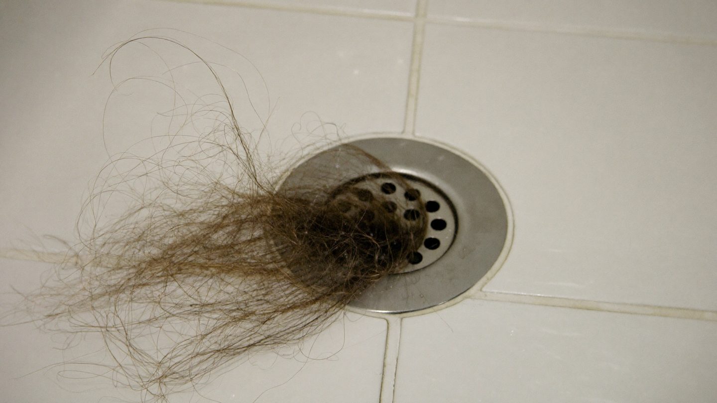 Loose hair caught over a shower drain